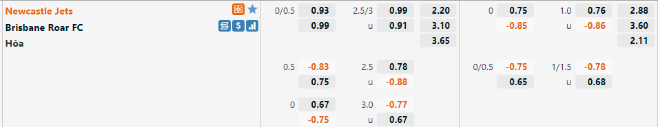 Newcastle Jets vs Brisbane Roar