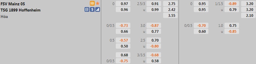 Mainz vs Hoffenheim