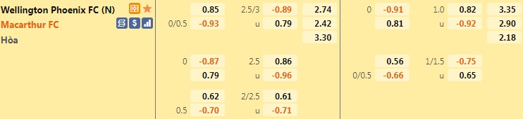 Wellington Phoenix vs Macarthur