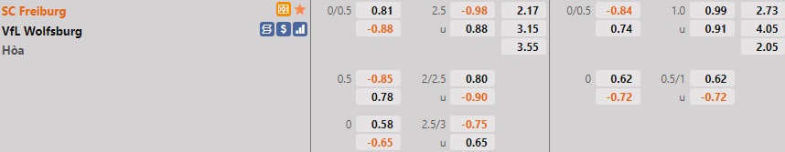 Freiburg vs Wolfsburg