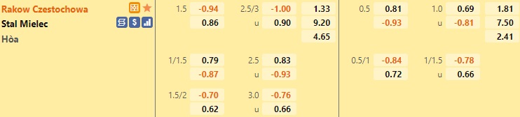 Rakow Czestochowa vs Stal Mielec