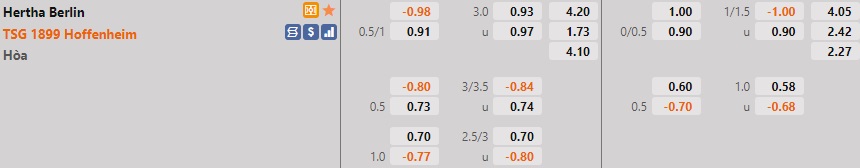 Hertha Berlin vs Hoffenheim