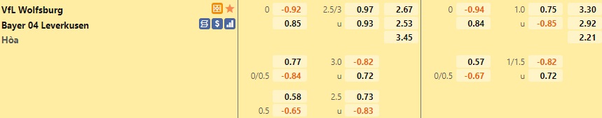 Wolfsburg vs Leverkusen