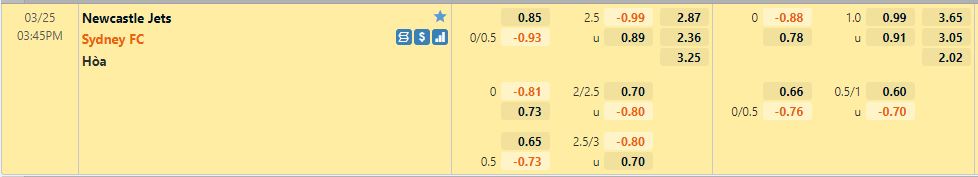 Newcastle Jets vs Sydney FC