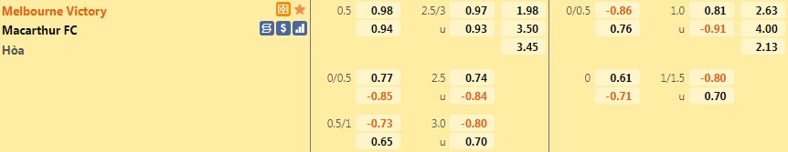 Melbourne Victory vs Macarthur