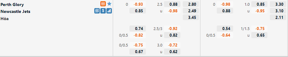 Perth Glory vs Newcastle Jets