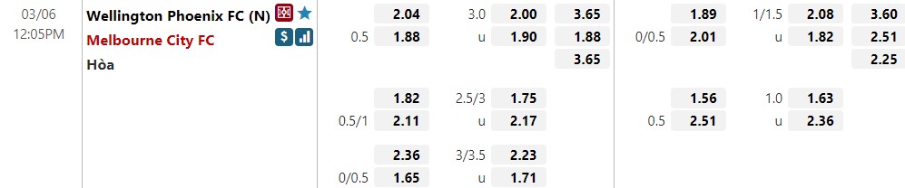 Wellington Phoenix vs Melbourne City