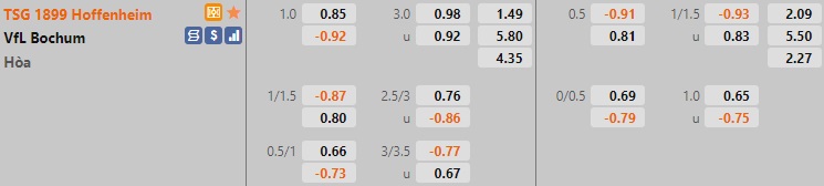 Hoffenheim vs Bochum