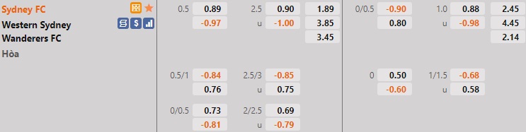 Sydney FC vs Western Sydney