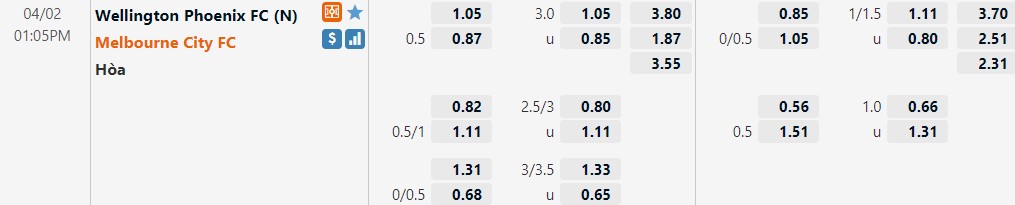 Wellington Phoenix vs Melbourne City