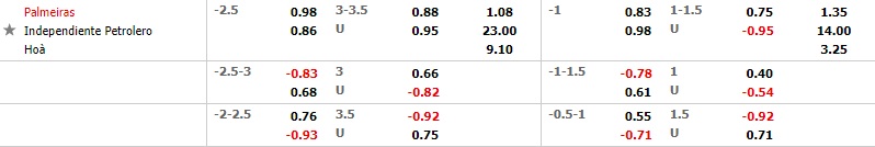 Palmeiras vs Independiente Petrolero