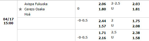 Avispa Fukuoka vs Cerezo Osaka