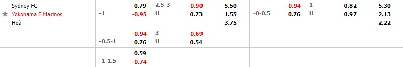 Sydney FC vs Yokohama Marinos