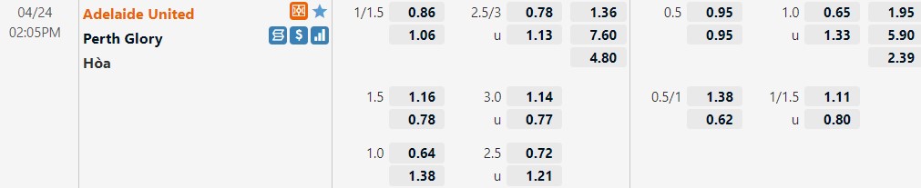 Adelaide vs Perth Glory