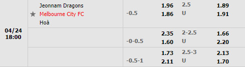 Jeonnam Dragons vs Melbourne City