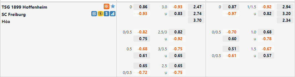 Hoffenheim vs Freiburg Hoffenheim vs Freiburg