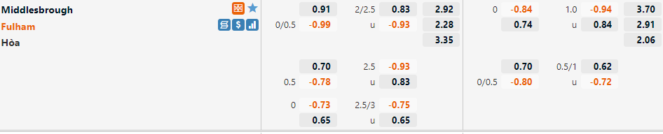Middlesbrough vs Fulham