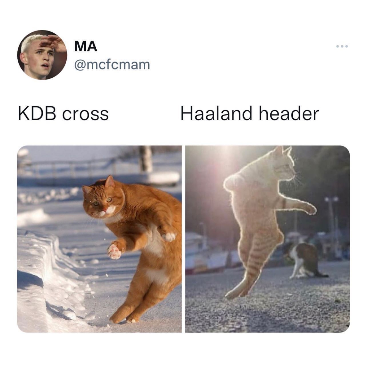 ảnh chế Haaland sang Man City