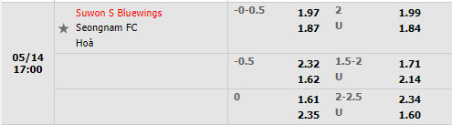 Suwon Bluewings vs Seongnam