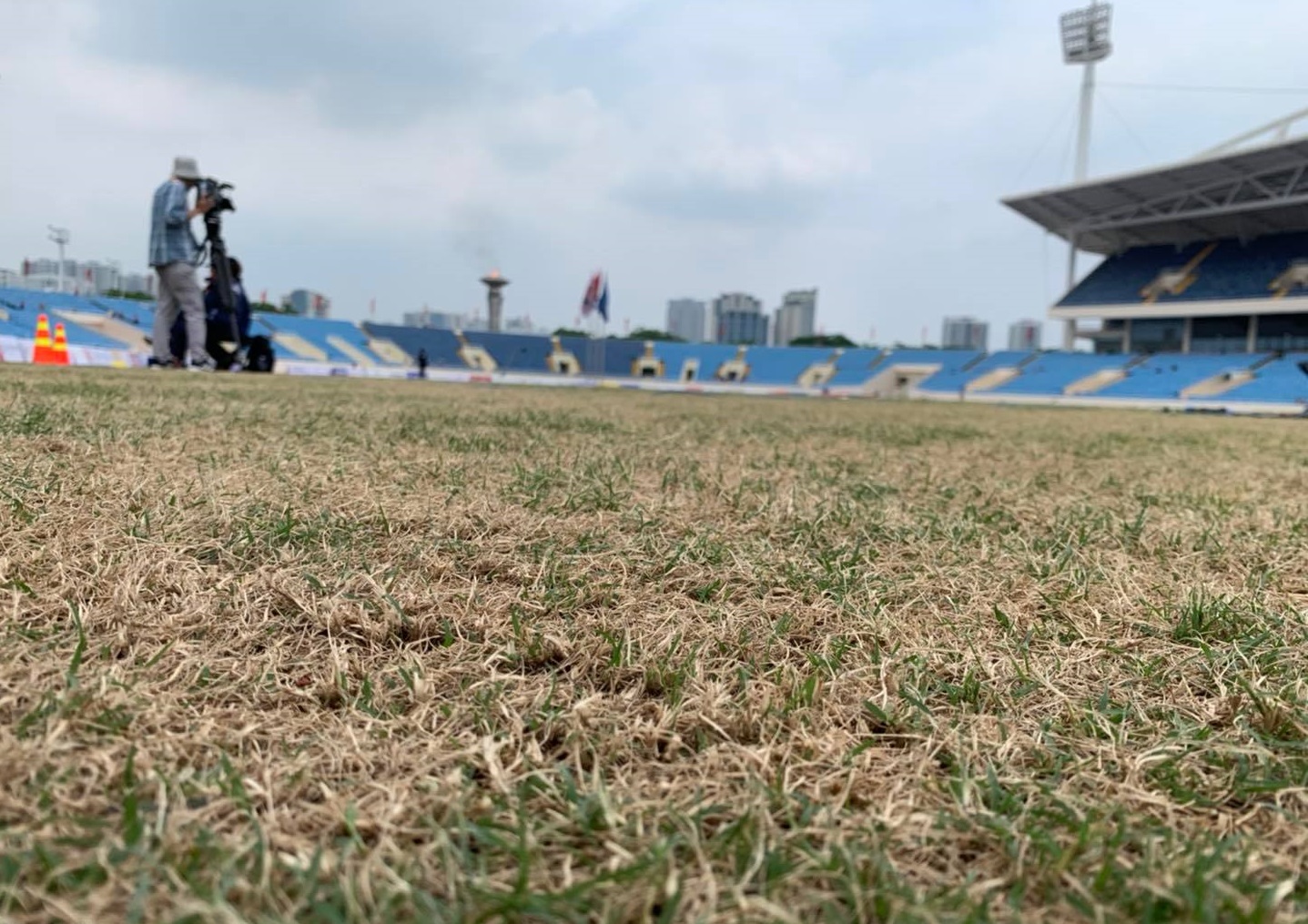 Có vẻ như mặt cỏ sân Mỹ Đình đã xuống cấp trầm trọng.