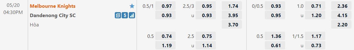 Melbourne Knights vs Dandenong City Melbourne Knights vs Dandenong City
