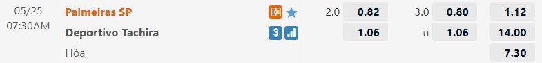 Palmeiras vs Tachira