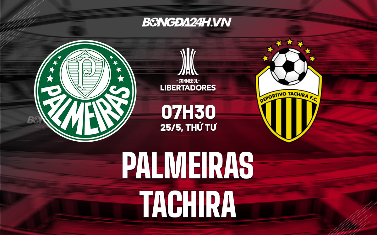 Palmeiras vs Tachira