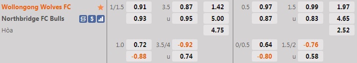 Wollongong Wolves vs Northbridge Bulls