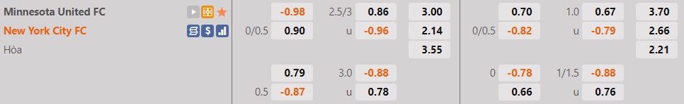 Minnesota vs New York City