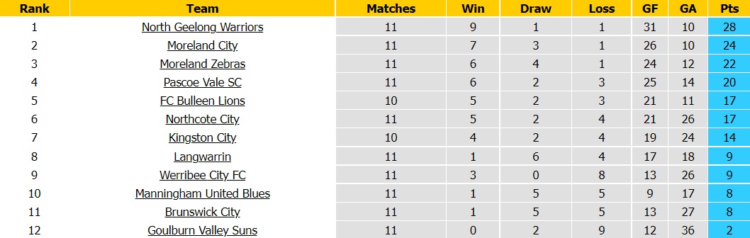Kingston City vs Bulleen Lions
