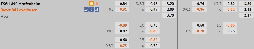 Hoffenheim vs Leverkusen