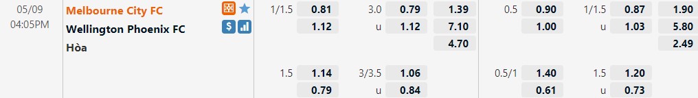 Melbourne City vs Wellington Phoenix