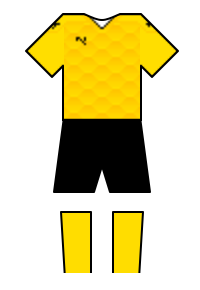 Màu áo sân khách