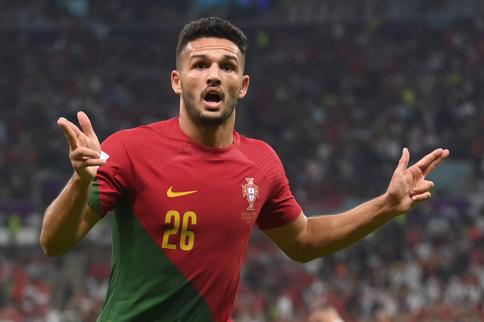 ĐT Bồ Đào Nha dự EURO 2024 Roberto Martinez sẽ đưa ai tới Đức 5