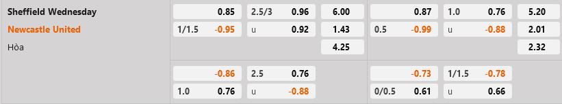 Sheffield Wednesday vs Newcastle