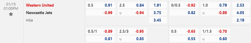 Nhận định Western United vs Newcastle Jets 13h00 ngày 151 (VĐQG Australia 2022) 1