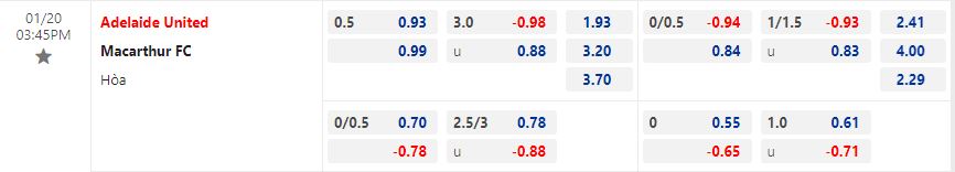 Nhận định Adelaide vs Macarthur 15h45 ngày 201 (VĐQG Australia 202223) 1