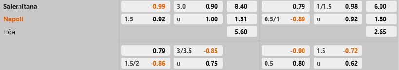 Salernitana vs Napoli