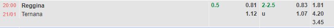 Nhận định Reggina vs Ternana (20h00 ngày 211, Hạng 2 Italia) 1