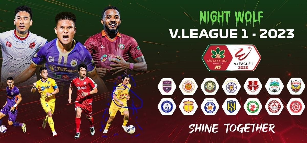 Hình ảnh đại diện của HAGL bị xóa trên trang web của VPF 2 Hình ảnh đại diện của HAGL bị xóa trên trang web của VPF 2