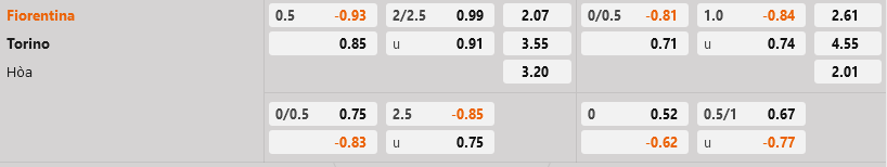 Fiorentina vs Torino