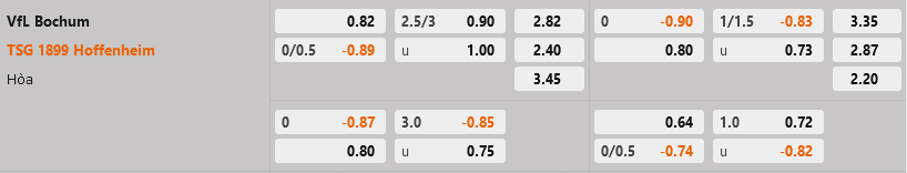 Bochum vs Hoffenheim Bochum vs Hoffenheim