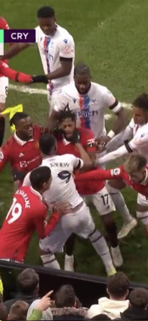 Tiền đạo Crystal Palace bóp cổ Fred nhưng không bị thẻ đỏ 1