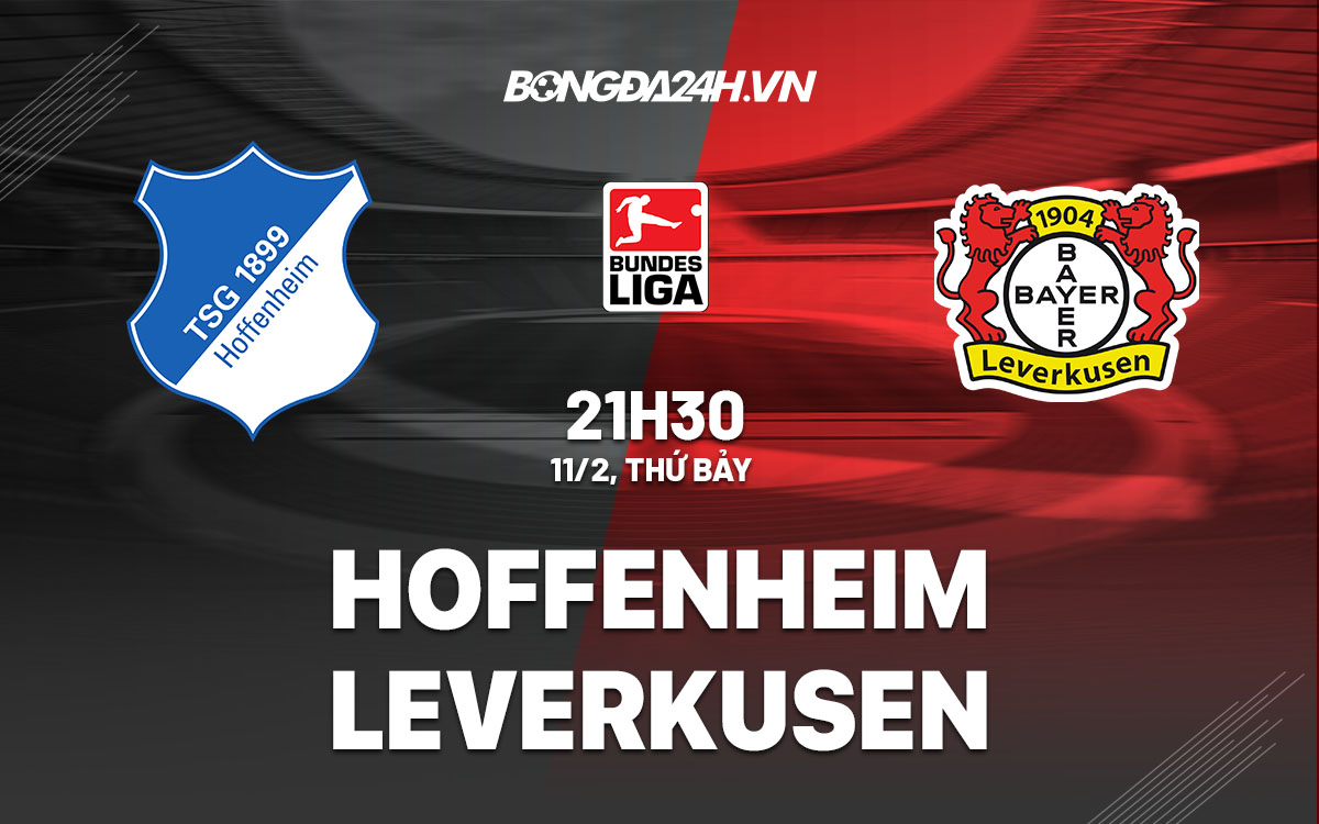 nhan dinh bong da soi keo Hoffenheim vs Leverkusen vdqg duc bundesliga hom nay