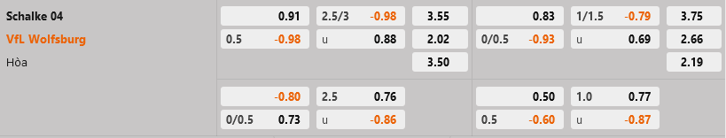 Schalke vs Wolfsburg