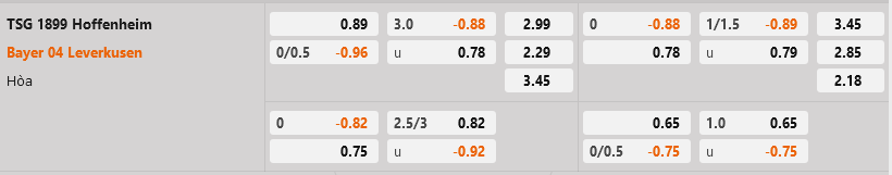 Hoffenheim vs Leverkusen