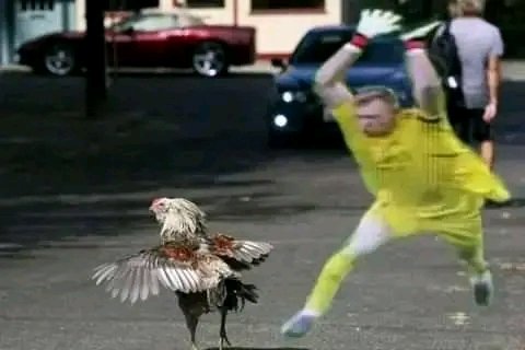 Aaron Ramsdale bị “troll” không thương tiếc sau trận hòa Brenrford 2 Aaron Ramsdale bị “troll” không thương tiếc sau trận hòa Brenrford 2