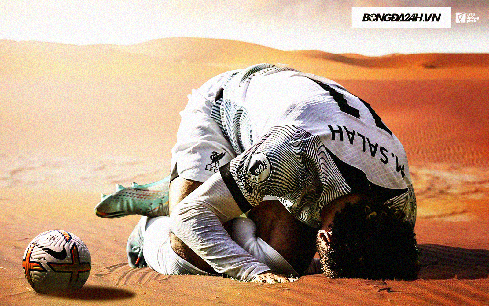 330993693_710687004093249_1398863805601842571_n