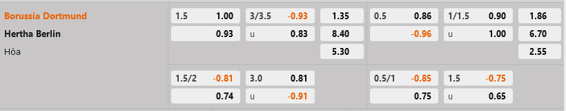 Dortmund vs Hertha Berlin