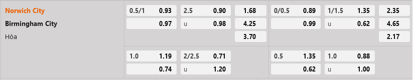 Norwich vs Birmingham